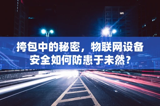 挎包中的秘密，物联网设备安全如何防患于未然？