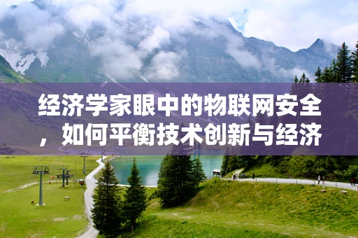 经济学家眼中的物联网安全，如何平衡技术创新与经济安全？