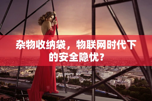 杂物收纳袋，物联网时代下的安全隐忧？