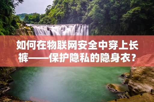 如何在物联网安全中穿上长裤——保护隐私的隐身衣？