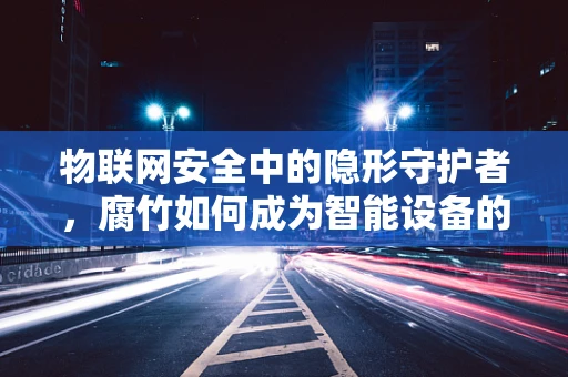 物联网安全中的隐形守护者，腐竹如何成为智能设备的安全隐患？