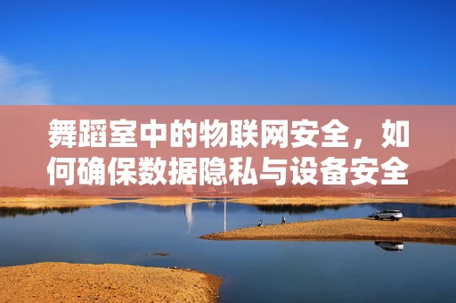 舞蹈室中的物联网安全，如何确保数据隐私与设备安全？