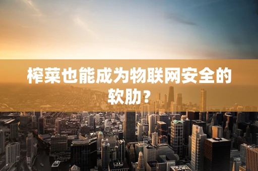 榨菜也能成为物联网安全的软肋？