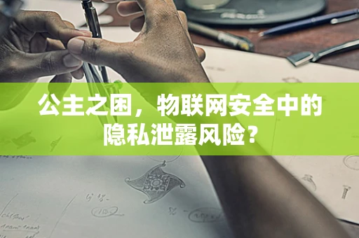 公主之困，物联网安全中的隐私泄露风险？