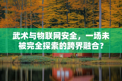 武术与物联网安全，一场未被完全探索的跨界融合？