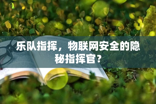 乐队指挥，物联网安全的隐秘指挥官？