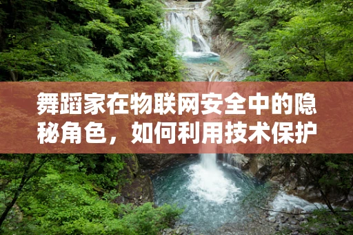 舞蹈家在物联网安全中的隐秘角色，如何利用技术保护艺术家的隐私？