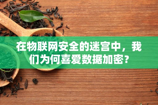 在物联网安全的迷宫中，我们为何喜爱数据加密？
