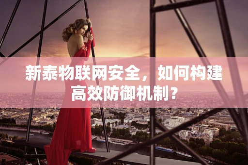 新泰物联网安全，如何构建高效防御机制？