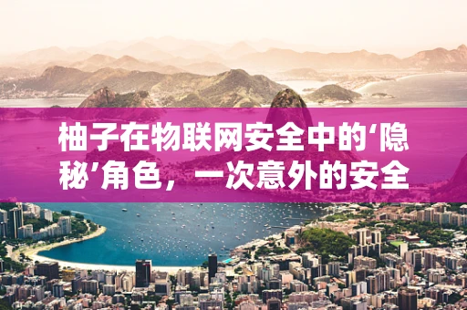 柚子在物联网安全中的‘隐秘’角色，一次意外的安全漏洞发现之旅？