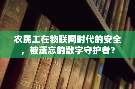 农民工在物联网时代的安全，被遗忘的数字守护者？