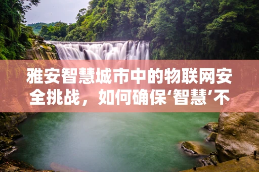雅安智慧城市中的物联网安全挑战，如何确保‘智慧’不‘失守’？