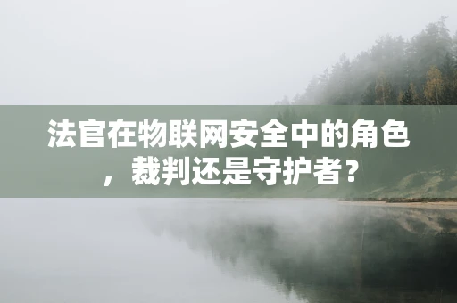 法官在物联网安全中的角色，裁判还是守护者？