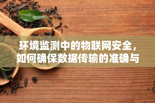 环境监测中的物联网安全，如何确保数据传输的准确与安全？