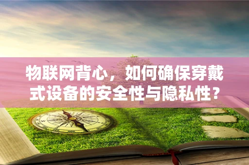 物联网背心，如何确保穿戴式设备的安全性与隐私性？
