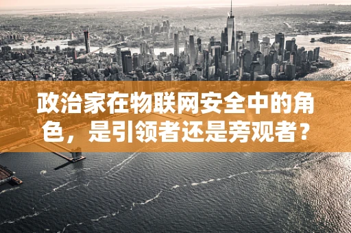 政治家在物联网安全中的角色，是引领者还是旁观者？