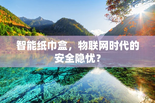 智能纸巾盒，物联网时代的安全隐忧？