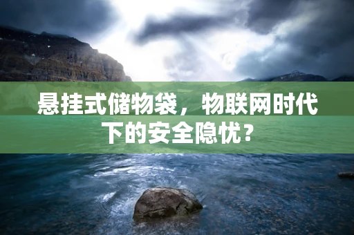 悬挂式储物袋，物联网时代下的安全隐忧？