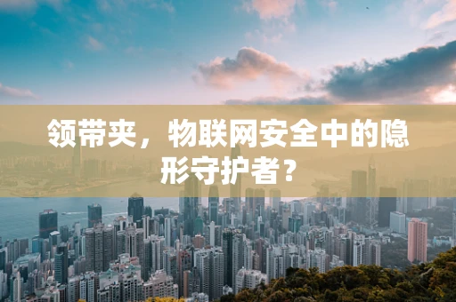 领带夹，物联网安全中的隐形守护者？