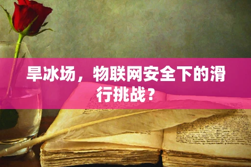 旱冰场，物联网安全下的滑行挑战？