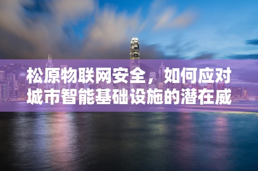 松原物联网安全，如何应对城市智能基础设施的潜在威胁？