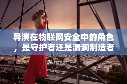 导演在物联网安全中的角色，是守护者还是漏洞制造者？