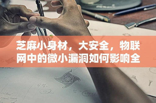 芝麻小身材，大安全，物联网中的微小漏洞如何影响全局？