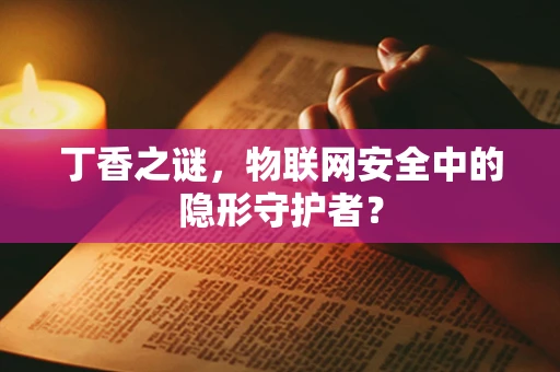 丁香之谜，物联网安全中的隐形守护者？