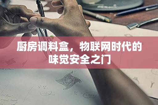厨房调料盒，物联网时代的味觉安全之门