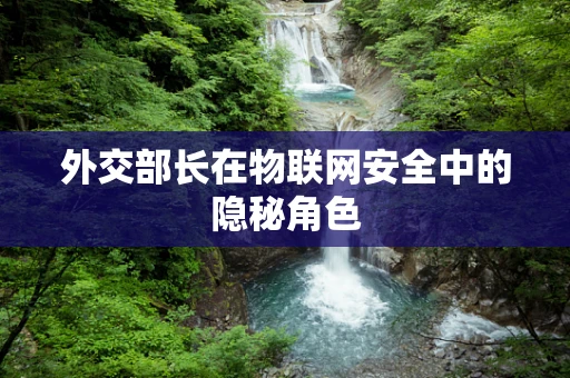 外交部长在物联网安全中的隐秘角色