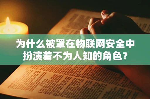 为什么被罩在物联网安全中扮演着不为人知的角色？