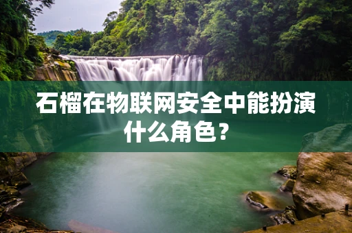 石榴在物联网安全中能扮演什么角色？