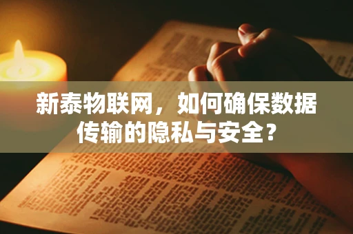 新泰物联网，如何确保数据传输的隐私与安全？