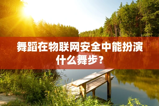 舞蹈在物联网安全中能扮演什么舞步？