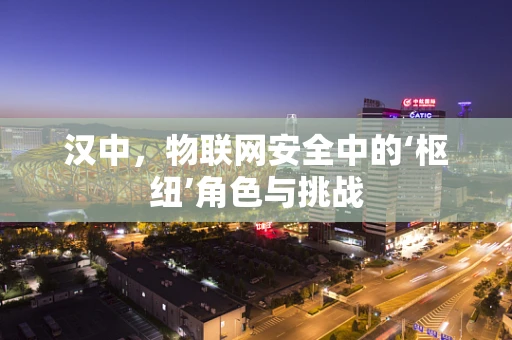 汉中，物联网安全中的‘枢纽’角色与挑战