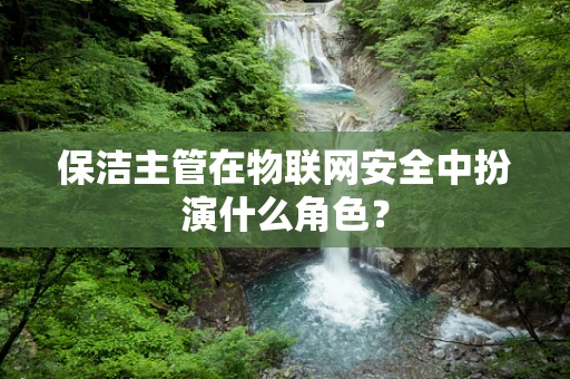 保洁主管在物联网安全中扮演什么角色？