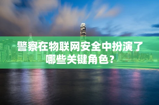 警察在物联网安全中扮演了哪些关键角色？