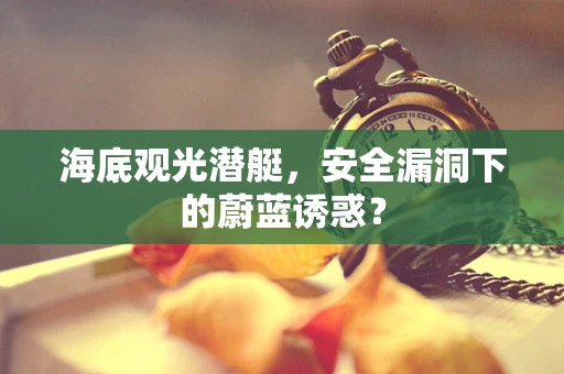 海底观光潜艇，安全漏洞下的蔚蓝诱惑？