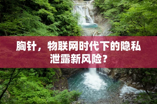 胸针，物联网时代下的隐私泄露新风险？