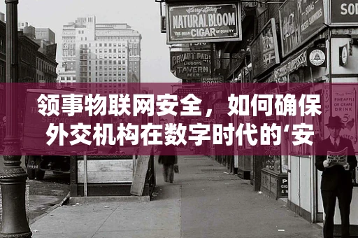 领事物联网安全，如何确保外交机构在数字时代的‘安全门’？