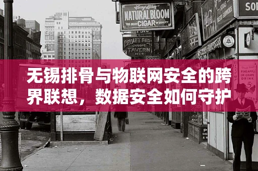 无锡排骨与物联网安全的跨界联想，数据安全如何守护美食的‘秘方’？