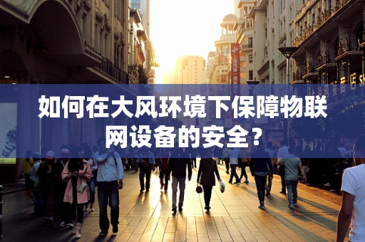如何在大风环境下保障物联网设备的安全？