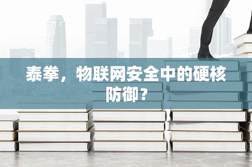 泰拳，物联网安全中的硬核防御？