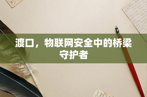 渡口，物联网安全中的桥梁守护者