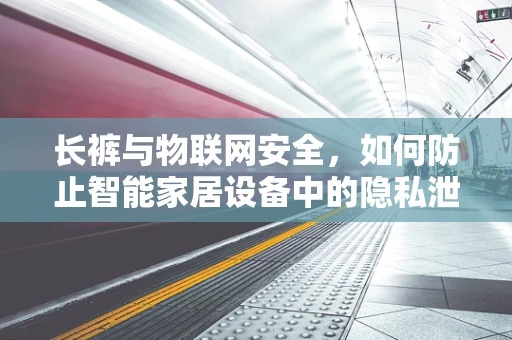 长裤与物联网安全，如何防止智能家居设备中的隐私泄露？