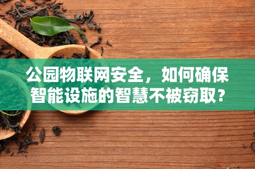 公园物联网安全，如何确保智能设施的智慧不被窃取？