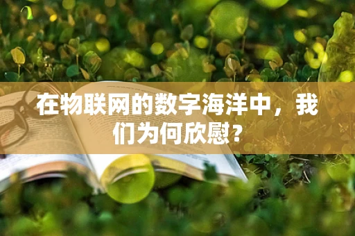 在物联网的数字海洋中，我们为何欣慰？