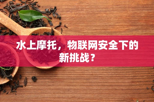 水上摩托，物联网安全下的新挑战？