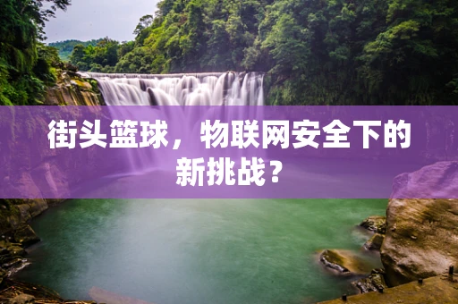 街头篮球，物联网安全下的新挑战？