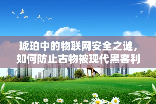 琥珀中的物联网安全之谜，如何防止古物被现代黑客利用？